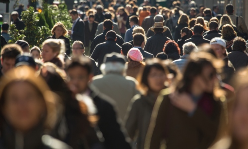 Memoria de actividades