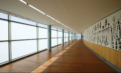 Líneas generales Plan Estratégico 2015-2019