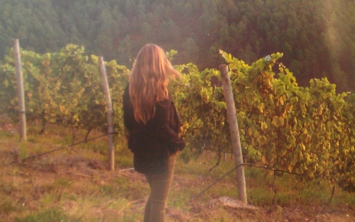 Talleres de verano: «O viño do mar. Rías Baixas»