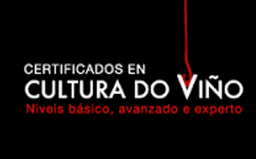 Certificado en cultura del vino. Nivel avanzado. Vigo