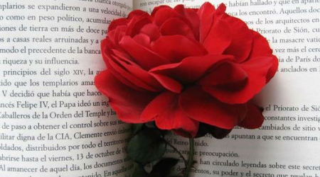 {evento-titulo_es}