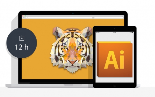 Taller de Illustrator, en Vigo