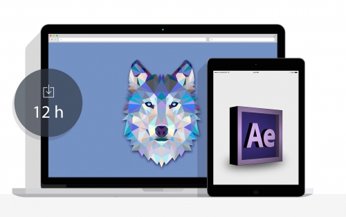Taller: Iniciación y Motion Graphics con After Effects. Nivel básico, en A Coruña