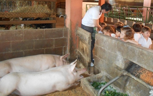 La E.I. Afundación Zalaeta visita la granja Casa do Queixo, en Sobrado dos Monxes