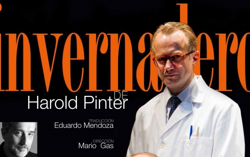 El Invernadero, en Vigo