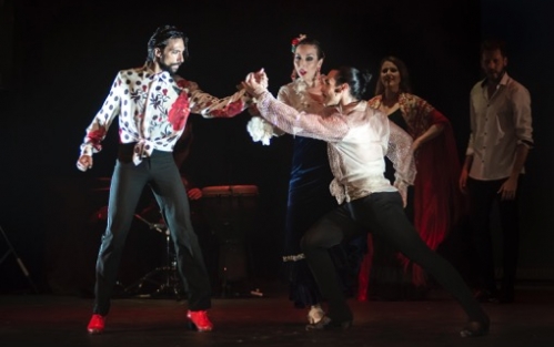 Las Minas Puerto Flamenco Tour. Vigo
