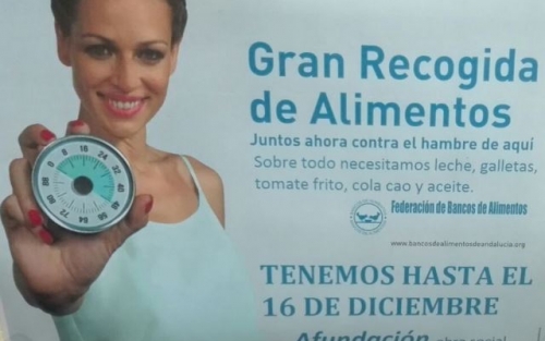 Recogida de alimentos. CM de Viveiro