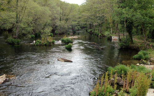 Ruta del agua de San Alberte a Guitiriz. Espazo +60 Betanzos