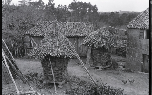 Exposición: Unha mirada de antano. Fotografías de Ruth Matilda Anderson en Galicia. Culleredo