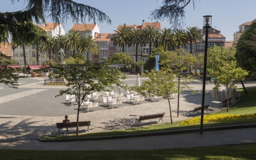 Ruta natural: los árboles de la plaza de Amboage. Espazo +60 Ferrol