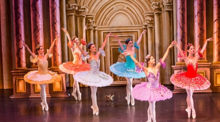 Ballet de S. Petersburgo. La Bella Durmiente