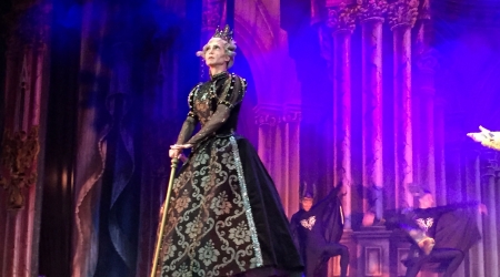 Ballet de S. Petersburgo. La Bella Durmiente