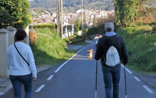 Paseos por la cultura y la historia de Betanzos y su entorno, Espazo +60 Betanzos