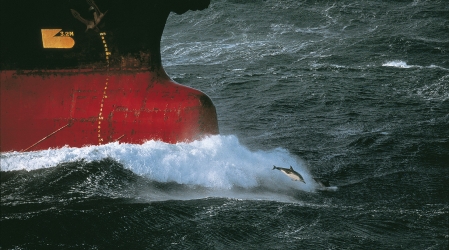Vivir el mar. Philippe Plisson