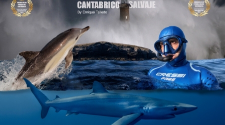 Cant&aacute;brico Salvaje