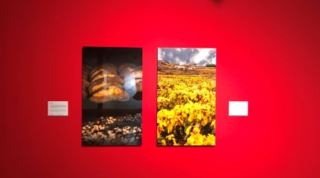 Exposici&oacute;n: Galicia a un paso de ti. Santiago de Compostela