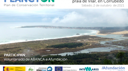 PLANCTON: Limpeza do areeiro do Vilar en Corrubedo