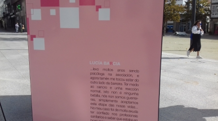 Exposici&oacute;n Resilientes