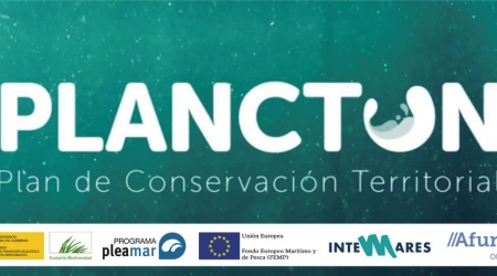 {evento-titulo_es}