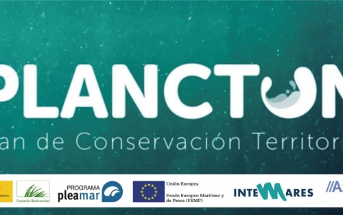Jornada intergeneracional en el marco del Proyecto Plancton, Espazo +60 Vigo