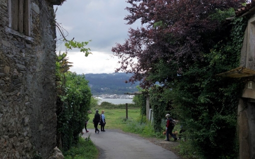 Paseos por la cultura y la historia de Betanzos y su entorno. Espazo +60 Betanzos