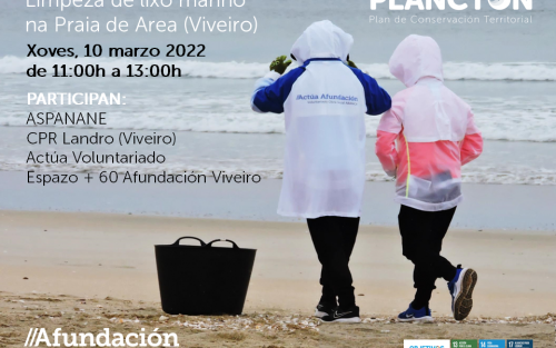 PLANCTON 2022. Limpieza de basuras marinas en la playa de Area en Viveiro 