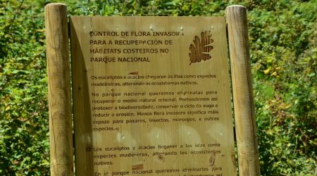 PLANCTON 2022 Illas C&iacute;es