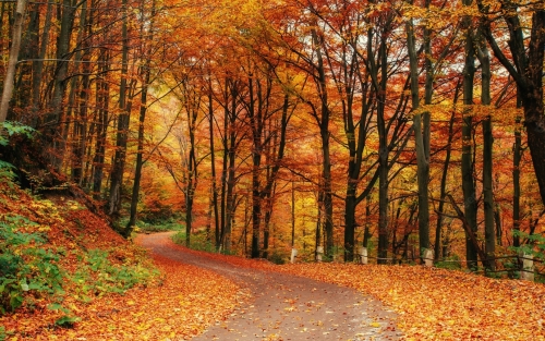 Actividad intergeneracional medioambiental, Espazo +60 Viveiro