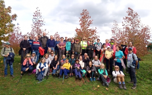 Cuarta etapa del Camino Inglés, del Pazo de Montecelo a Santo Estevo de Cos, Espazo +60 Vigo 