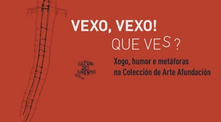 VEXO, VEXO. QUE VES? Xogo, humor e metáforas na Colección de Arte Afundación en Pontevedra