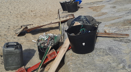 PLANCTON 2023. Limpeza na praia de Baldaio