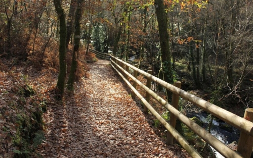 Caminata cultural río Barbantiño - Castro de Santa Mariña de Maside, Espazo +60 Ourense 