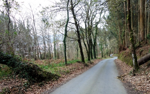 Paseos por la cultura y la historia de Betanzos y su entorno: Xanrozo, Espazo +60 Betanzos