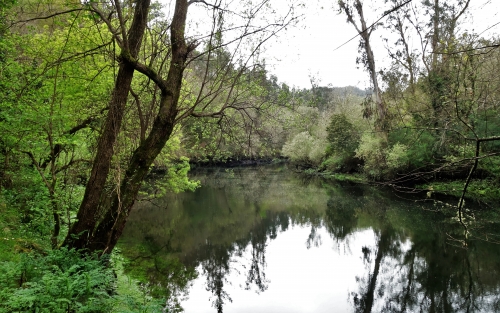 Paseos por la cultura y la historia de Betanzos y su entorno: ruta a Armea y los Caneiros, Espazo +60 Betanzos