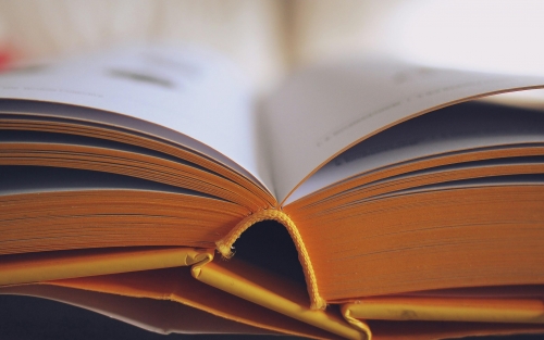 Visita guiada a la Biblioteca Naval de Ferrol, Espazo +60 Ferrol