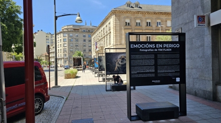 Emoci&oacute;ns en perigo. Fotograf&iacute;as de Tim Flach, en Ourense