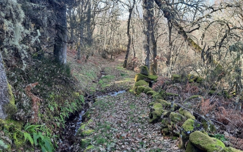 Andaina Couto Mixto y Camiño Privilexiado, Espazo +60 Ourense