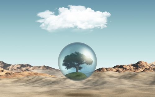 Conferencia de alfabetización climática 