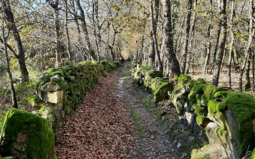 Andaina San Xes, Espazo +60 Ourense