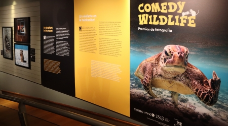 Comedy Wildlife Madrid. Foto: José María Cazcarra