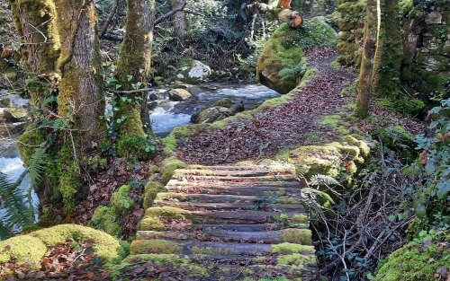 Andaina ríos y molinos de Gorgua y Esmoriz, Espazo +60 Ourense