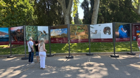 Los Parques Nacionales de Espa&ntilde;a