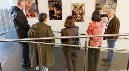 Fauna esencial Melide