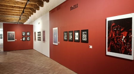 Javier Olivares en Navarra