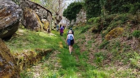 Andaina: Camiño de San Rosendo e a Raíña Santa