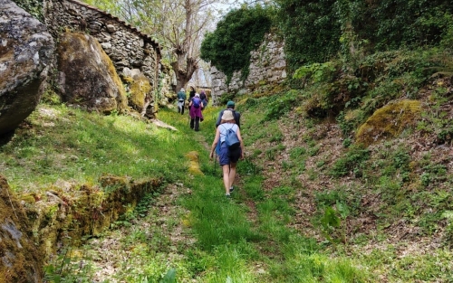 Andaina: Camiño de San Rosendo e a Raíña Santa
