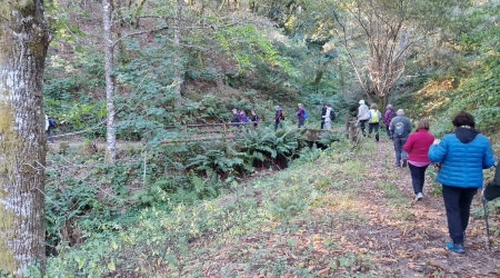 ANDAINA A EMBELESADORA - Espazo +60 Ourense