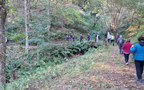 ANDAINA A EMBELESADORA - Espazo +60 Ourense