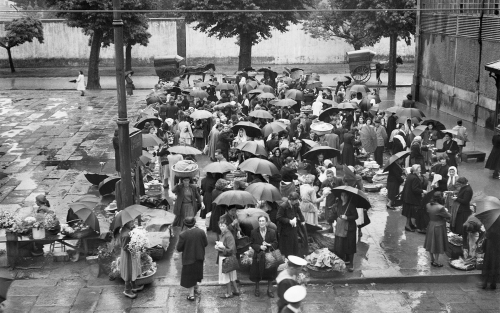 Exposición NICOLÁS MULLER EN GALICIA, en Ferrol