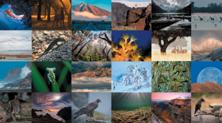 Exposición OS PARQUES NACIONAIS DE ESPAÑA, en Valladolid